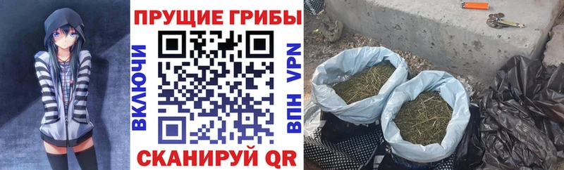 Псилоцибиновые грибы Magic Shrooms  Лихославль 